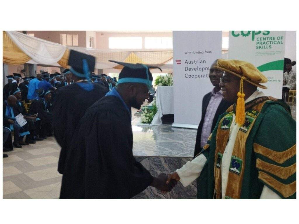 85204 brain drain huge damage to nigerian economy anike