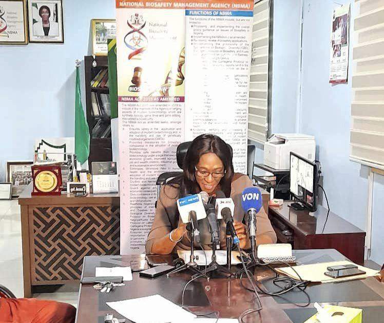 86249 anthrax biosafety agency warns nigerians to avoid cow skin now
