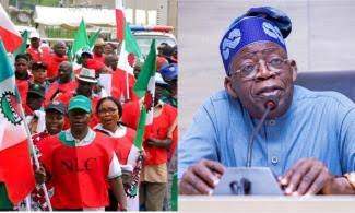 88497 strike nigerian government appeals to labour to shelve action