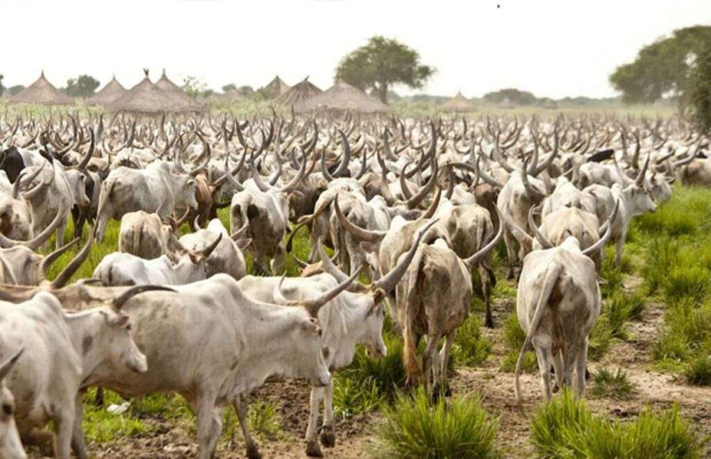 89925 experts attribute anthrax diseases to wrong feedings of animals