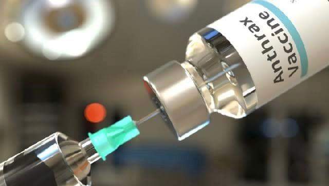 90562 anthrax nigerian govt donates free 50000 doses of vaccines to lagos