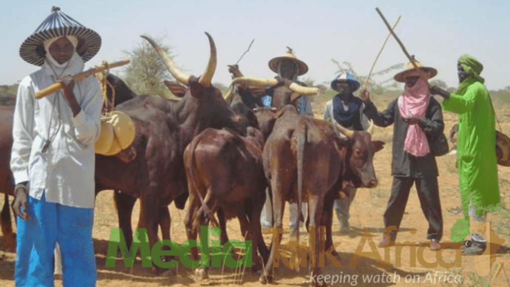 91699 coup review your military threat sanctions against niger 792 fulani group tells ecowas