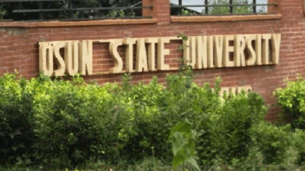 95235 uniosun staff audit disrupted as workers accuse consultant of assault