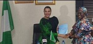 96244 promising growth in foreign investments nigerias minister of industry trade