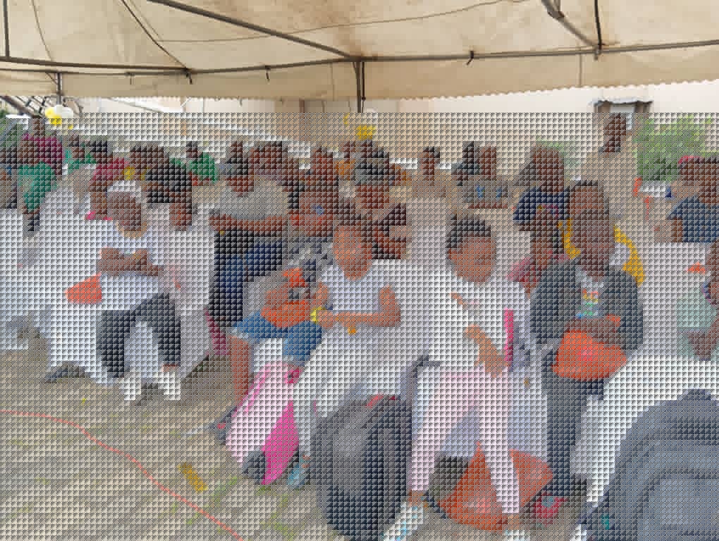 98316 lagos state celebrates 200 children with disabilities in a spectacular event