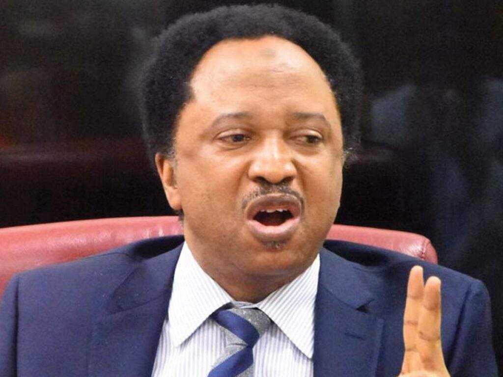 99824 poisoned elections responsible for death of democracy in africa shehu sani