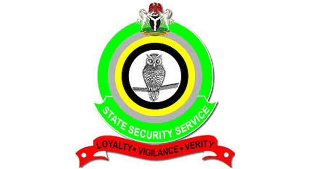 102164 dss apprehends suspects over palliative diversion