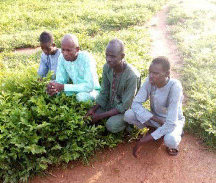 102236 troops rescue several kidnapped victims
