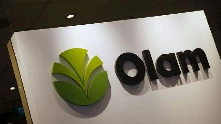 102954 exclusive nigerian secret police sss investigates olam 10 other subsidiaries over multi billion dollar forex fraud