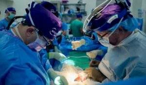 105329 us surgeons report longest successful pig to human kidney transplant