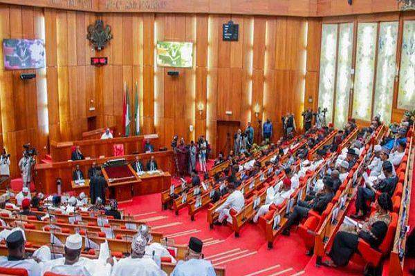 105454 senate describes nlc n100m allegation as strange unthinkable