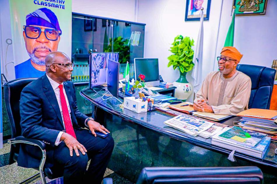 105776 nigerian government to partner with governors to harness solid mineral resources