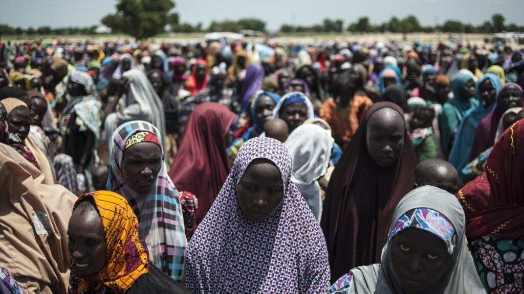 105788 nigerian govt to resettle 22071 idps in niger minister