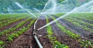 107623 world bank commits to transforming nigerias irrigation farming empowering 130000 farmers