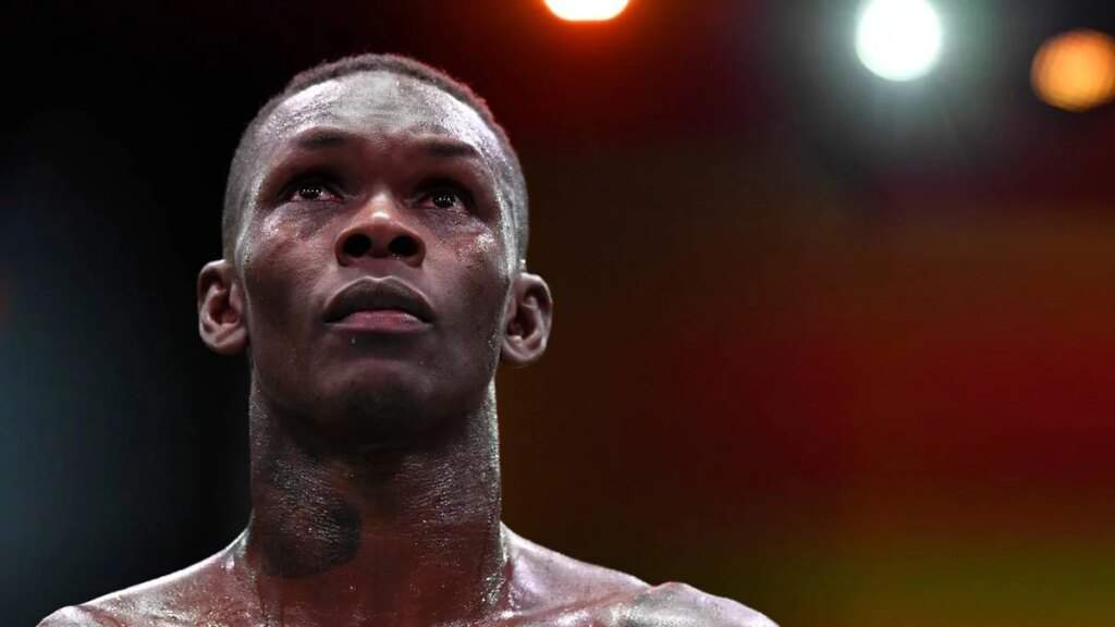 109242 former ufc champion risks jail term for drunk driving in new zealand