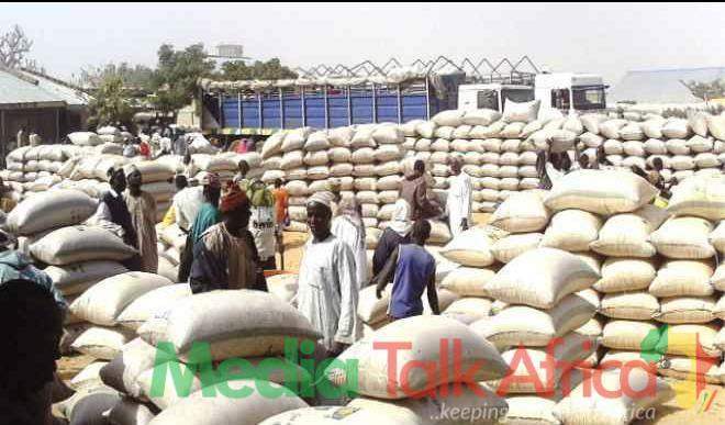 110147 kano state government allocates n600 million for development of dawanau international grains market