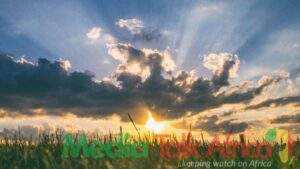 110913 nimet predicts three days of sunshine and thunderstorms starting from friday