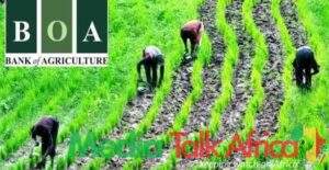 112160 the bank of agriculture struggles to recover n243m loan disbursed to nigerian farmers since 2011