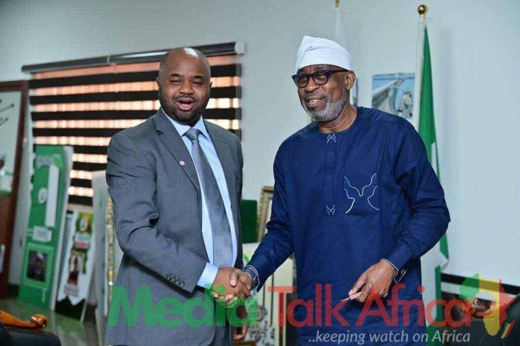 113370 solid minerals will boost nigerias revenue firs boss