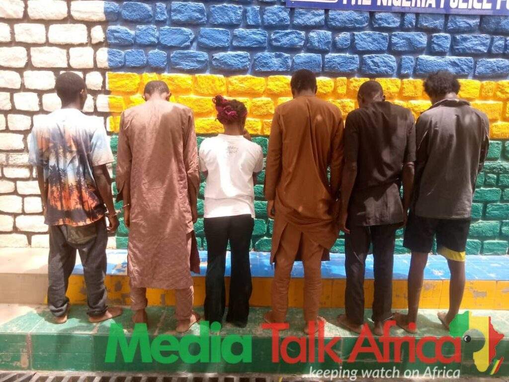 114982 police arrest 10 suspected kidnapers in kaduna