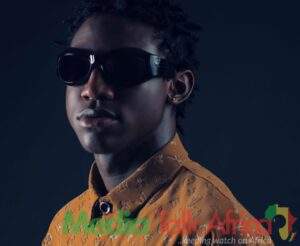 115691 zlatan ibile the catalyst behind shallipopis career success