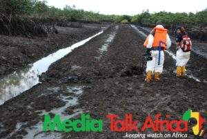 119365 group offers solutions to combat re pollution in ogoniland scaled