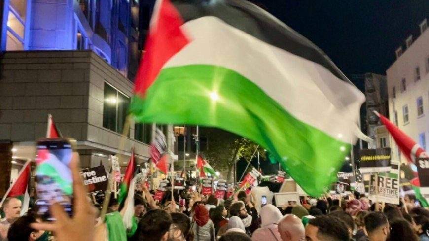125205 pro palestinian rally in frankfurt leads to nine detentions