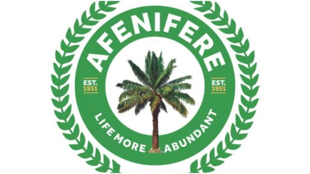127249 afenifere criticizes supreme courts decision on tinubus election victory