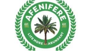 127249 afenifere criticizes supreme courts decision on tinubus election victory
