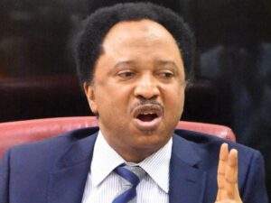 128005 shehu sani the influence of money in nigerian politics