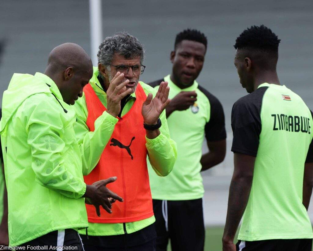130496 zimbabwe coach baltemar brito fearless ahead of clash with super eagles in 2026 wcq