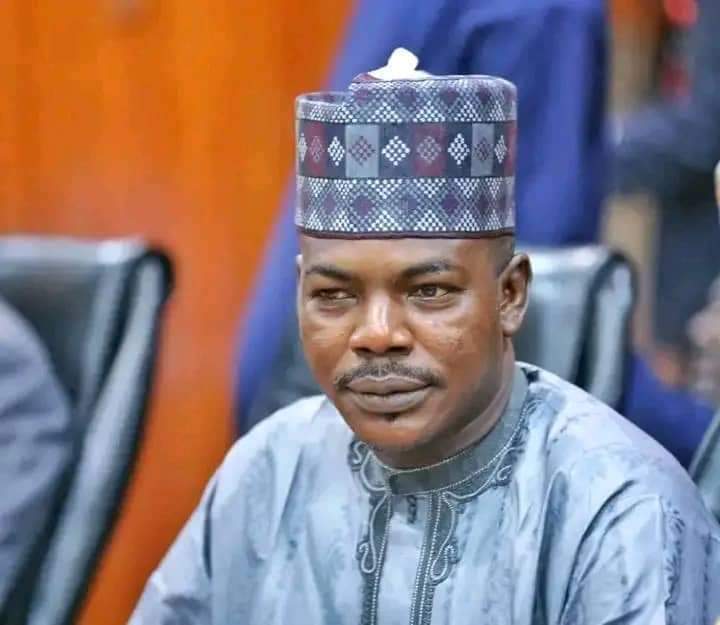 131789 borno senator urges overhaul of nigerian legislation