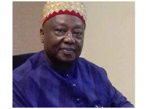 133545 apga chair obi okoye nigerians tricked with electoral act amendment