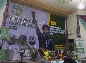 134518 kabetkache urges niger delta local governments to embrace climate change framework