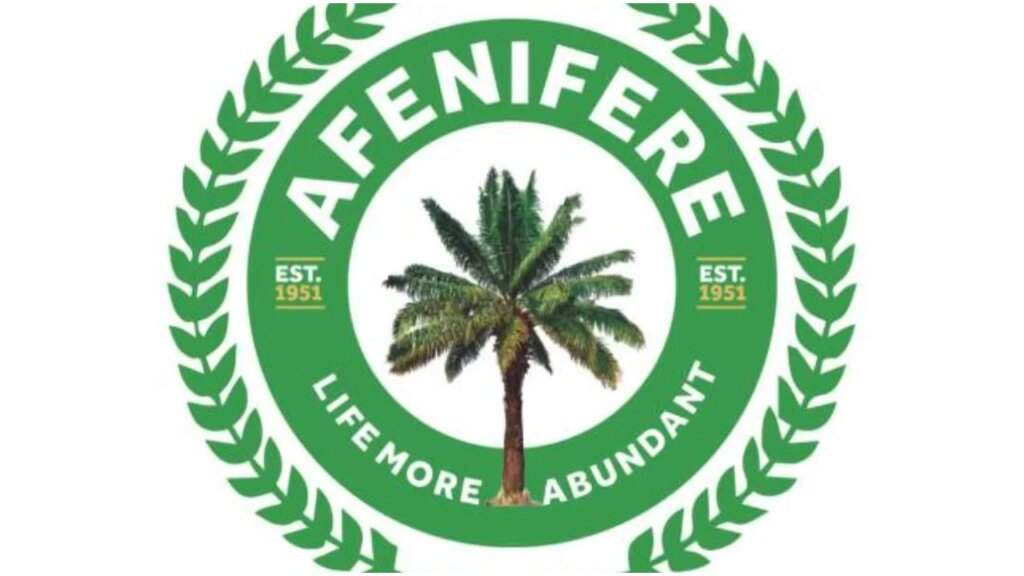 Afenifere worried over kidnappings in Lagos Ekiti bank attack
