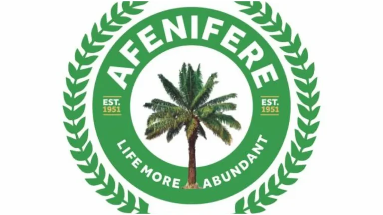 Afenifere worried over kidnappings in Lagos Ekiti bank attack