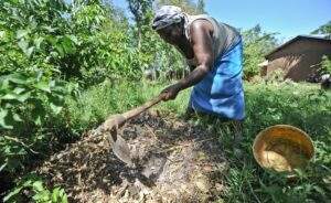 Africa Catalyzing Climate Resilient Agriculture in Africa