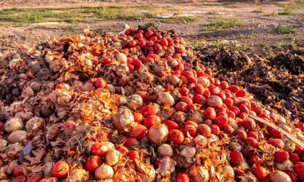 Christmas Despite hardship food waste at festive period alarming in
