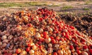 Christmas Despite hardship food waste at festive period alarming in