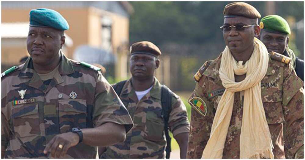 ECOWAS suspends Niger until constitutional order restored — Daily Nigerian