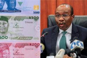 Emefieles naira redesign renders farmers bankrupt FG