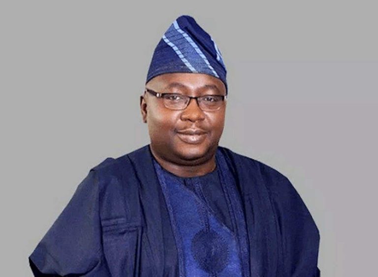FG announces report of plane crash involving Power Minister Adelabu