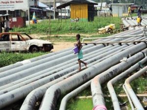 Igbo Group Begins Agitation Over Exclusion — Daily Nigerian 300x225