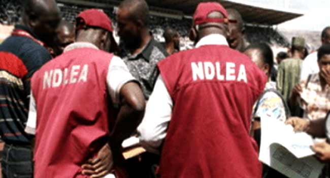NDLEA arrests 103 suspects seize 1458 kg of drugs in
