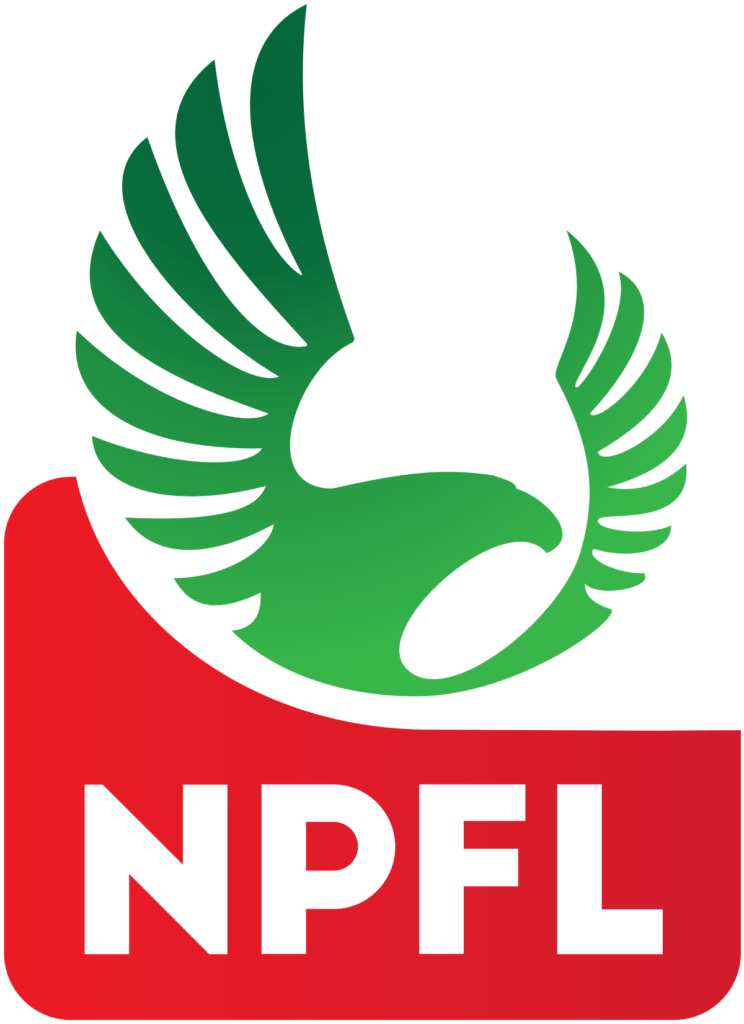 NPFL fines Enyimba for misconduct suspends official