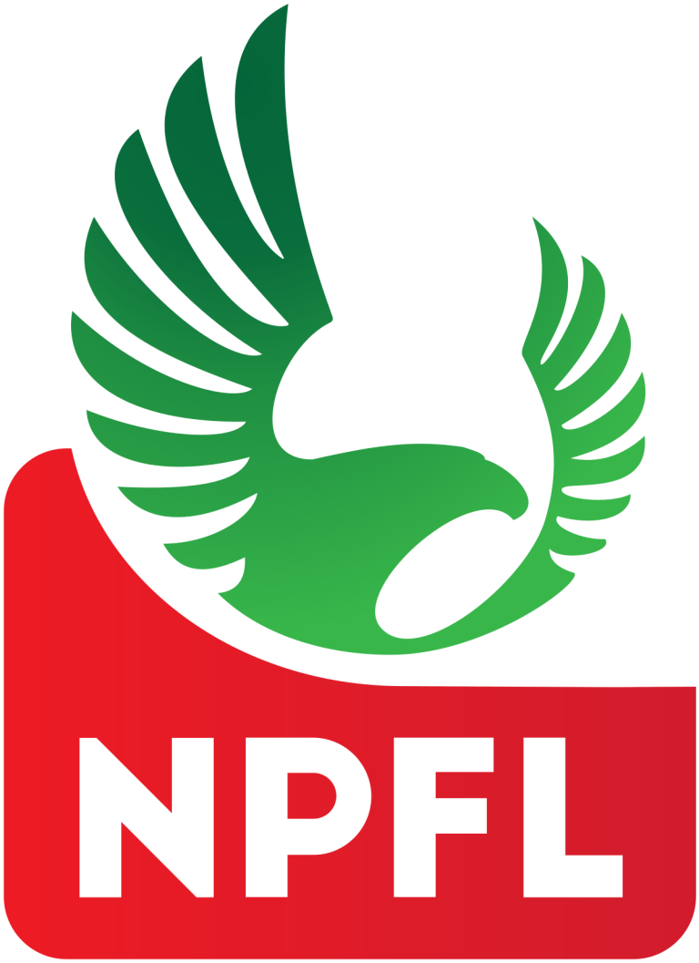 NPFL fines Enyimba for misconduct suspends official