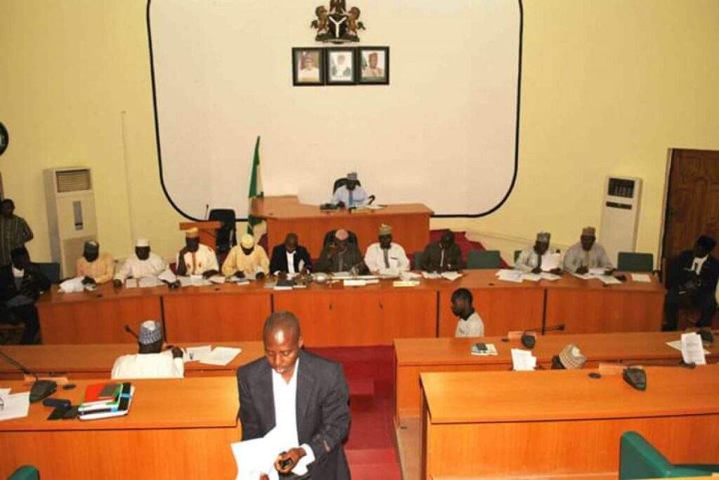 Niger Assembly member dumps SDP defects to APC