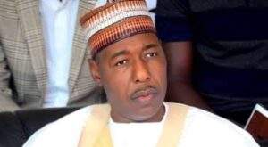 Nigerian doctors honour Gov Zulum for contribution to health sector
