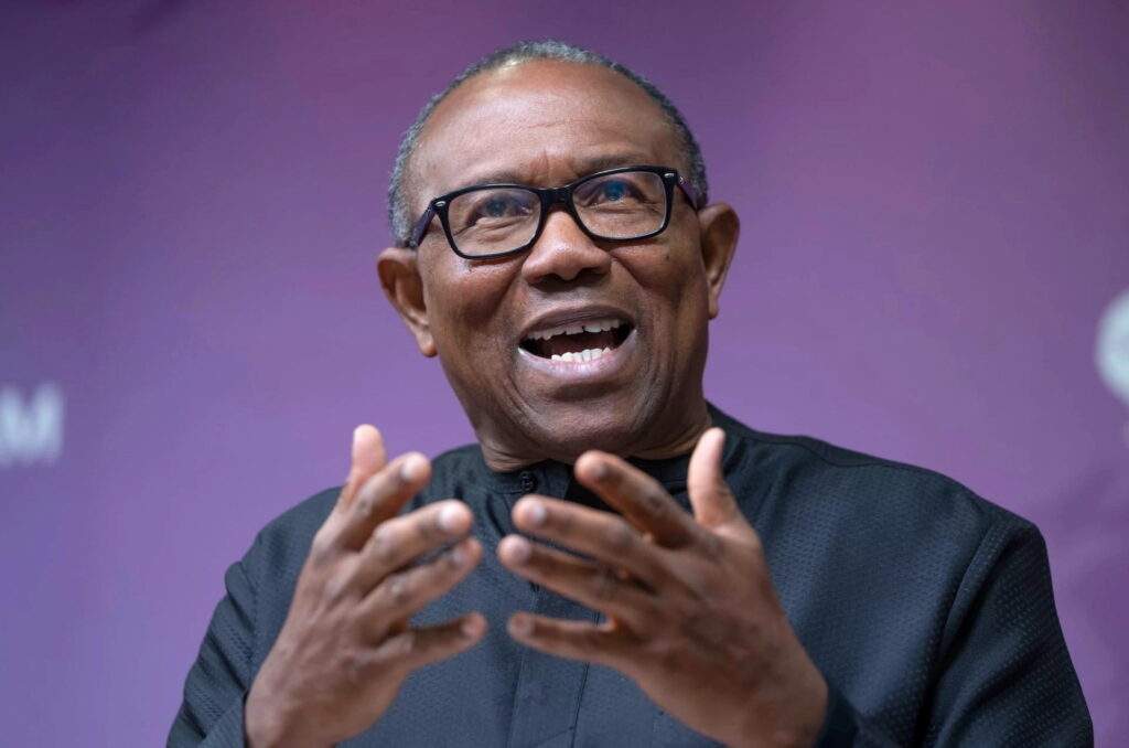 Nobody goes around searching for foreign investors Peter Obi