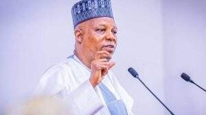 Shettima pledges support for creative entertainment industry — Daily Nigerian
